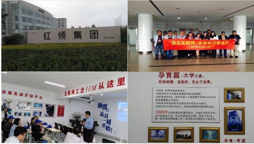 红领服饰定制 借鉴酷特模式，探索数据驱动的智能工厂与产业链协同在珠宝技术服务领域的启示