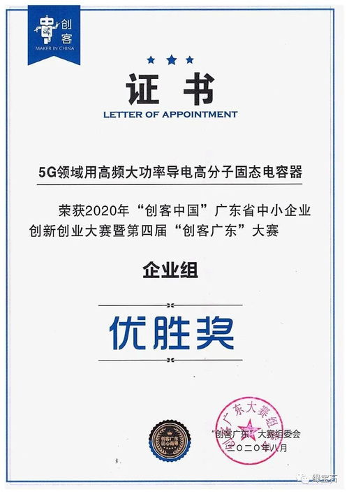 绿宝石崛起 从中小学创客到省50强优秀项目，企业管理咨询赋能高质量发展